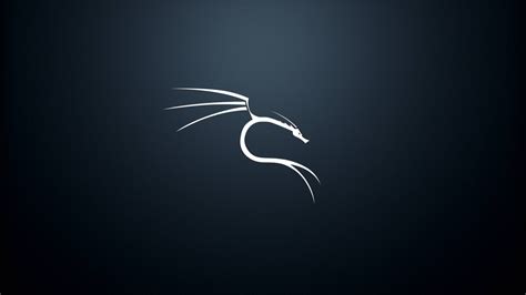 /u/ugleh and others have a customizable wallpaper changer for your computer or android device! Kali Linux Wallpapers - Top Free Kali Linux Backgrounds
