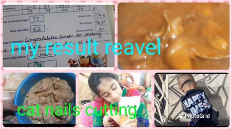 Life Of Zarwa Daily Routine Vlog Cooking Enjoying Life Cat