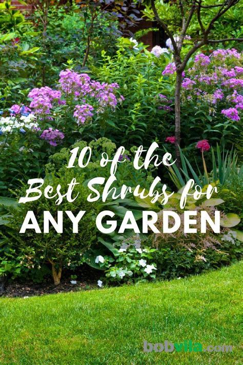 Hgtvremodels' landscaping planning guide and hgtv.com tips for selecting and grouping plants for your landscaping project. This will likely get your interest. Easy Landscape Ideas ...
