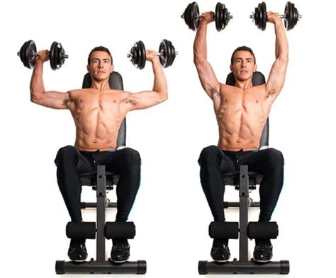 Seated Front Raise Guide How To Muscles Worked Pros Alternatives