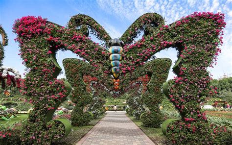 Butterfly Garden Most Beautiful Garden In Dubai