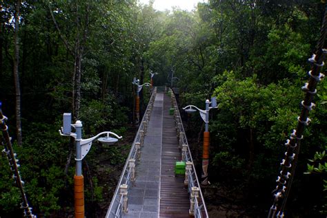 שם מקומי mangrove swamp park. It's All About Me: Taman Paya Bakau, Lumut