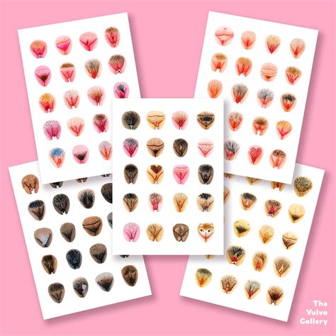 Postcard Set • Vulva Diversity — The Vulva Gallery