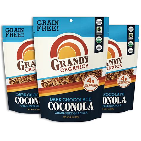 Amazon Com Grandy Organics Granola De Chocolate Negro Y Coconola Sin
