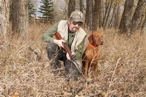 Are Vizslas Good Hunting Dogs