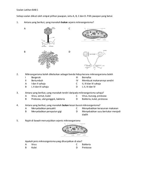 Lat sumatif 6 buku teks sains ting 2 (ms 137) soalan 2c kbat : Soalan latihan unit 1 : Mikroorganisma