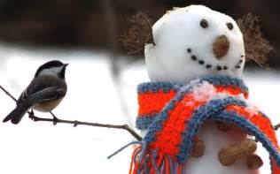 Funny Snowman And A Beautiful Bird On White Snow