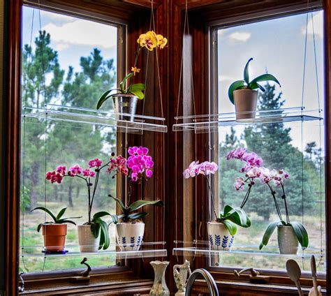 Bold iron railing flower stand rack window box. Window Plant Shelf Hanging Shelf Plant Shelves Plant ...