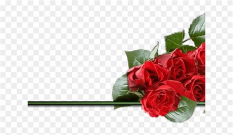 Red Rose Clipart Divider Rose Valentines Day Png Transparent Png