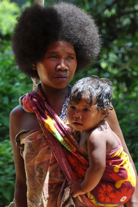 In sabah and sarawak, there are a myriad of indigenous ethnic groups. Pin on Batek Malaysia