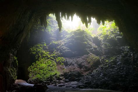 Cuevas De Puerto Rico Enciclopediapr