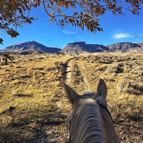 Explore Codyyellowstone Country From A Unique Perspective—on Horseback