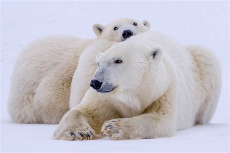 Wapusk National Park Manitoba