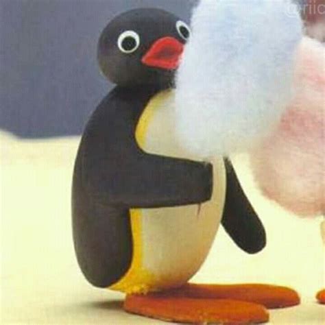 Couple 12 Pingu Memes Pingu Pingu Pingu