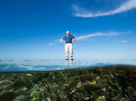 Great Barrier Reef Might Be Sir David Attenboroughs Final ‘proper