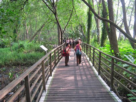 7 Tempat Wisata Hutan Mangrove Terbaik Di Indonesia Yang Wajib Kamu