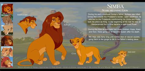 Dusk And Dawn Canon Reference Sheet Simba By The Hare On Deviantart