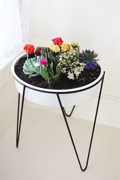 Following an unsuccessful attempt to cross the river, we decided to climb along its side. Gorgeous Indoor Planters You Will Fall In Love With!