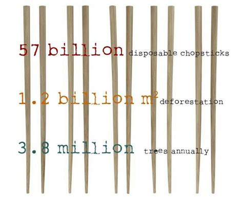 chopsticks deforestation natural lifestyle promote healthy hair healthy hair