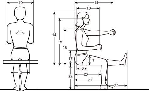 Diagram Printable Human Body Measurement Diagram Mydiagramonline