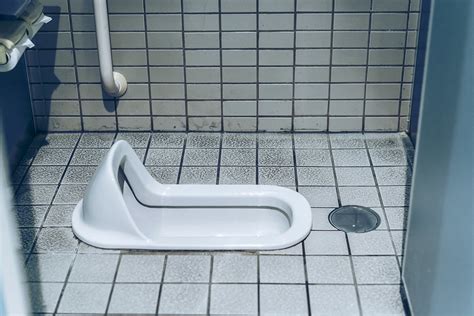Benefits Of The Washiki Japanese Style Squat Toilet KCP International