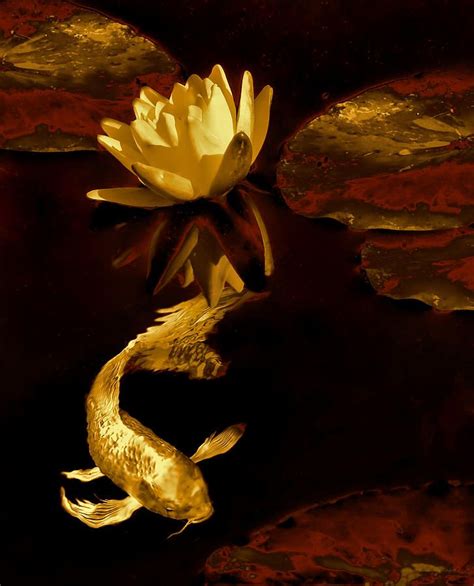 Golden Koi Fish And Water Lily Flower By Jennie Marie Schell Koi Art