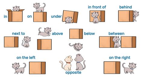 Prepositions Of Place Cat