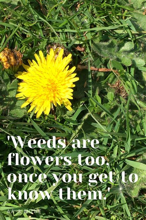 Gardening Quote Garden Quotes Funny Garden Signs Flower Quotes