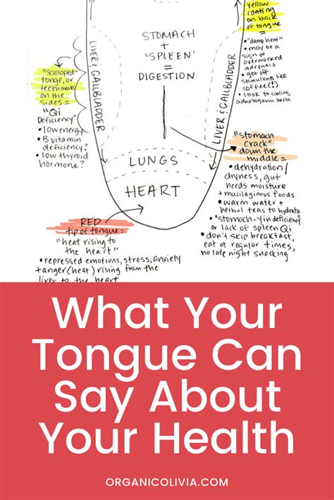 Your Tongue Tells You About The Health Of Your Organs And Can Help In