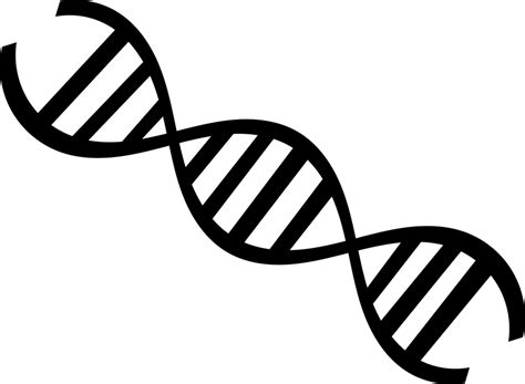 Use these free science transparent background #45892 for your personal projects. Biology DNA Genetics - science png download - 960*704 ...