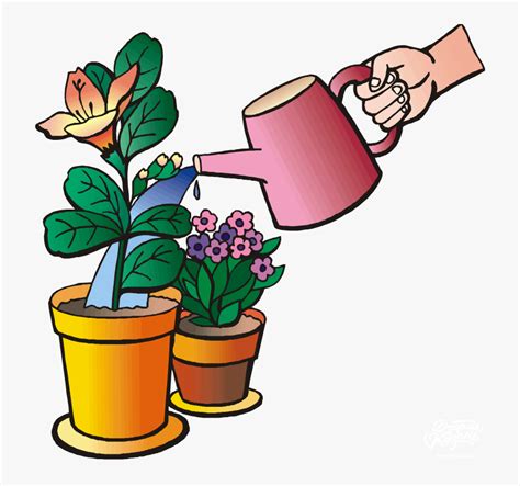Water Plants Clip Art Please Water My Plants Hd Png Download Kindpng