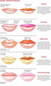 Different Types Different Types Lips