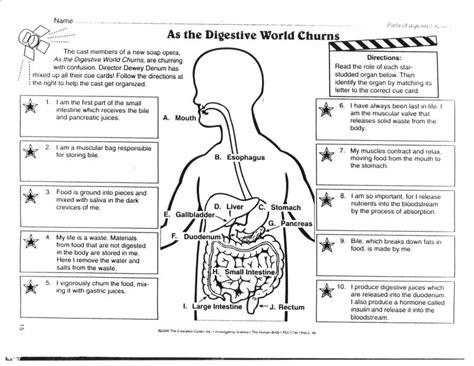 Answer key to digestive system gizmo.pdf free pdf download now!!! 19 Best Images of Digestive System Worksheets Printable ...