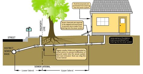 Signs Causes And Troubleshooting A Clogged Sewer Line Plumbing Sniper