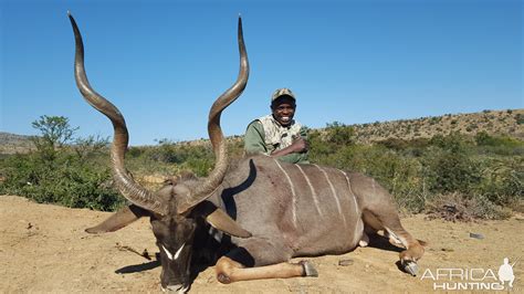 Excellent Hunting Safaris In South Africa With Game 4 Africa Safaris
