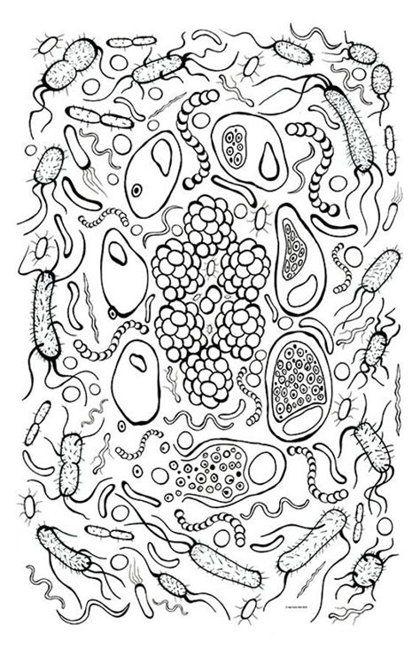 Colors usa colors uk colors australia colors ral colors nbs colors ncs colors x11 colors crayola colors resene colors xkcd. All Ages Coloring Art Print Bacteria Design 11x17 Poster ...