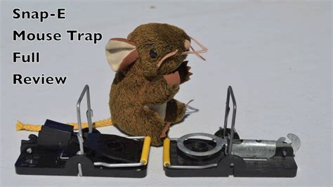 Snap E Mouse Trap Full Review Snowflake Sunday Version Youtube