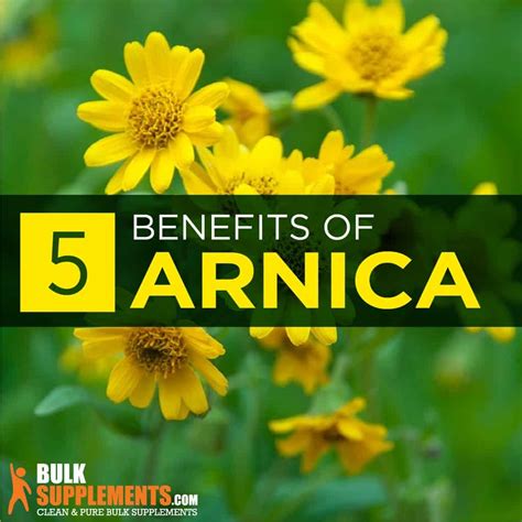 Arnica Benefits Side Effects And Dosage