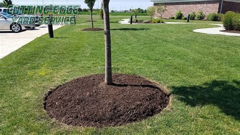 Tree Ring Weed Barrier Cutting Edge Yard Service