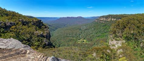 Hiking The Prince Henry Cliff Walk Blue Mountains Australia 28 Stock