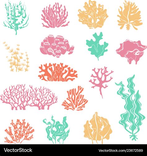 Seaweed And Coral Silhouettes Ocean Reef Corals Vector Image