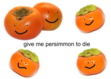 Persimmon In 2021 Stupid Memes Mood Pics Food Memes