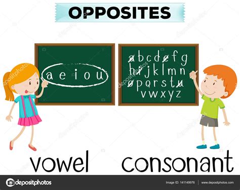 Opposite Wordcard For Vowel And Consonant Stock Vector Image By