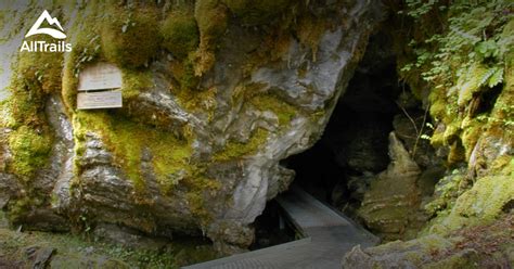 Best Trails In Oregon Caves National Monument Oregon