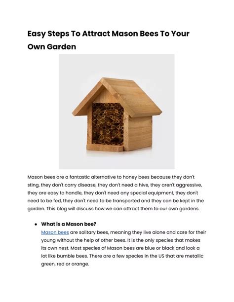 Ppt Easy Steps To Attract Mason Bees To Your Own Garden Powerpoint