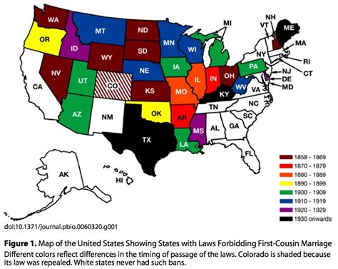 cousin marriage law in the united states by state