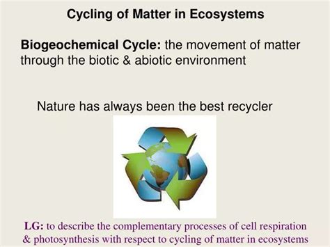 Ppt Cycling Of Matter In Ecosystems Powerpoint Presentation Free