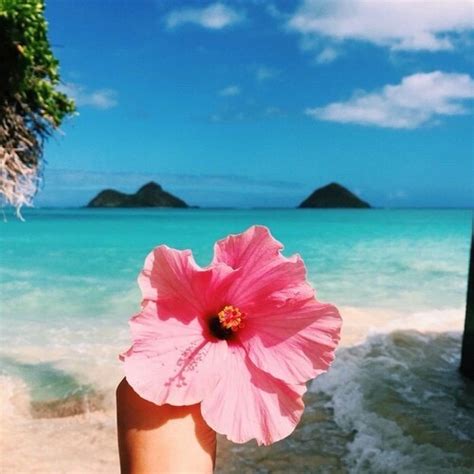 See more ideas about aesthetic pictures, pictures, beach aesthetic. beach, blue water, destination, flower, holiday, nature ...