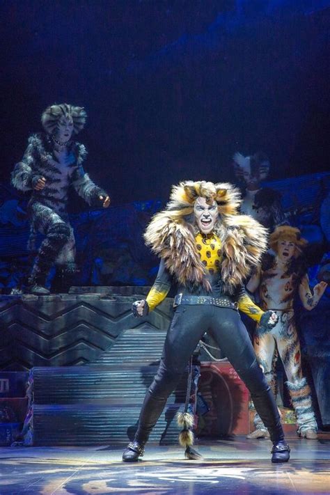 Tour and chicago), we will rock you. 'Cats' will return to Chicago stage next summer