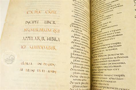Codex Amiatinus Facsimile Edition